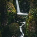 Cascade d'eau dans une forêt luxuriante, nature paisible en Suisse romande.