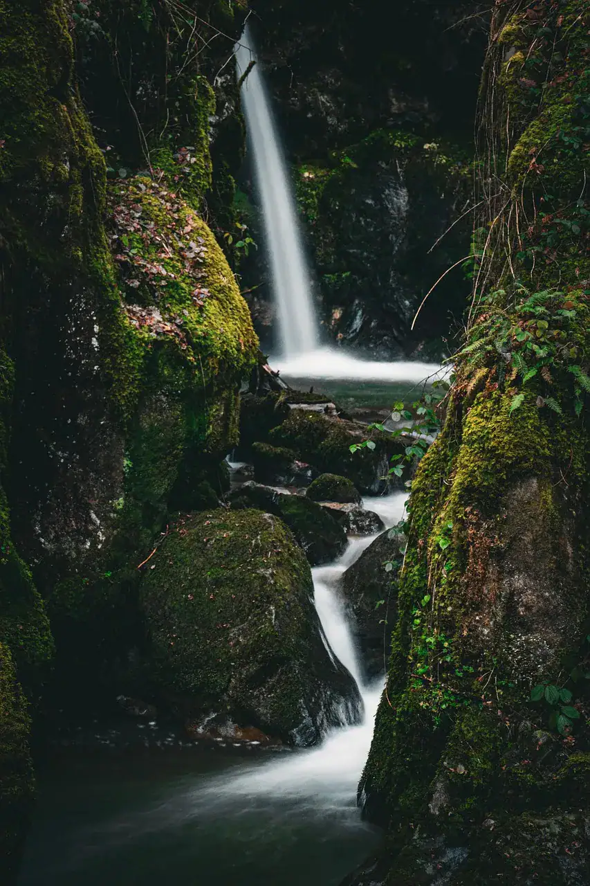Thérapie complémentaire à Yverdon-les-Bains dans un cadre apaisant
