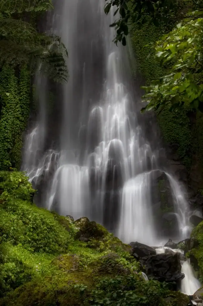 Cascade naturelle entourée de végétation luxuriante en Suisse romande.